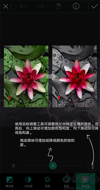 迅連科技相片大師