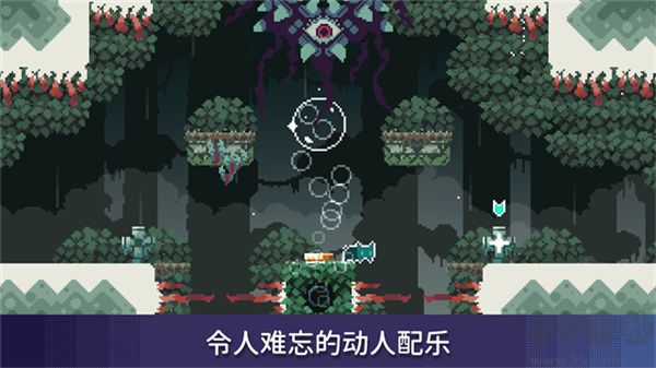 無名的貓(Nameless Cat)