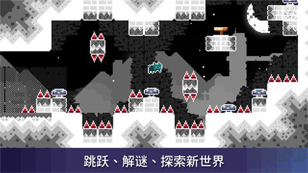 無名的貓(Nameless Cat)