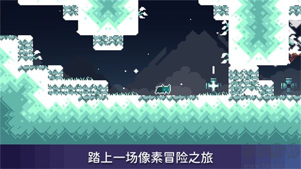 無名的貓(Nameless Cat)