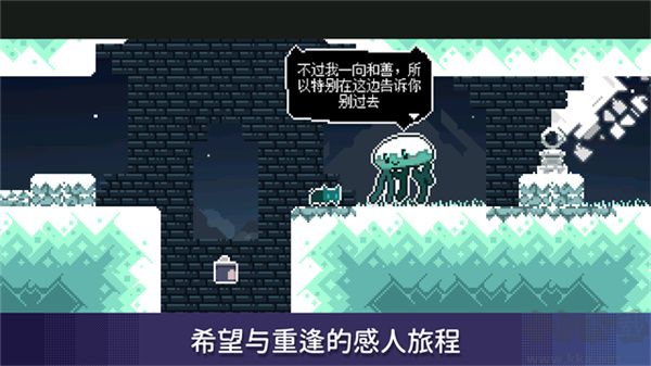 無名的貓(Nameless Cat)