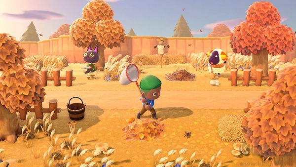 集合啦動(dòng)物森友會(huì)