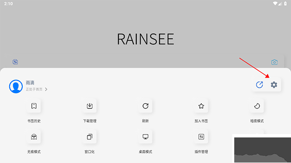 Rains瀏覽器