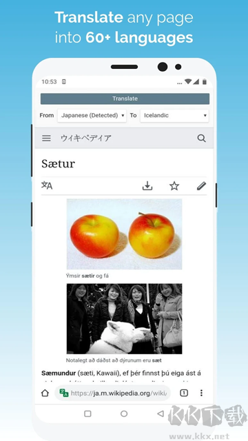 KiwiBrowser瀏覽器app官方版